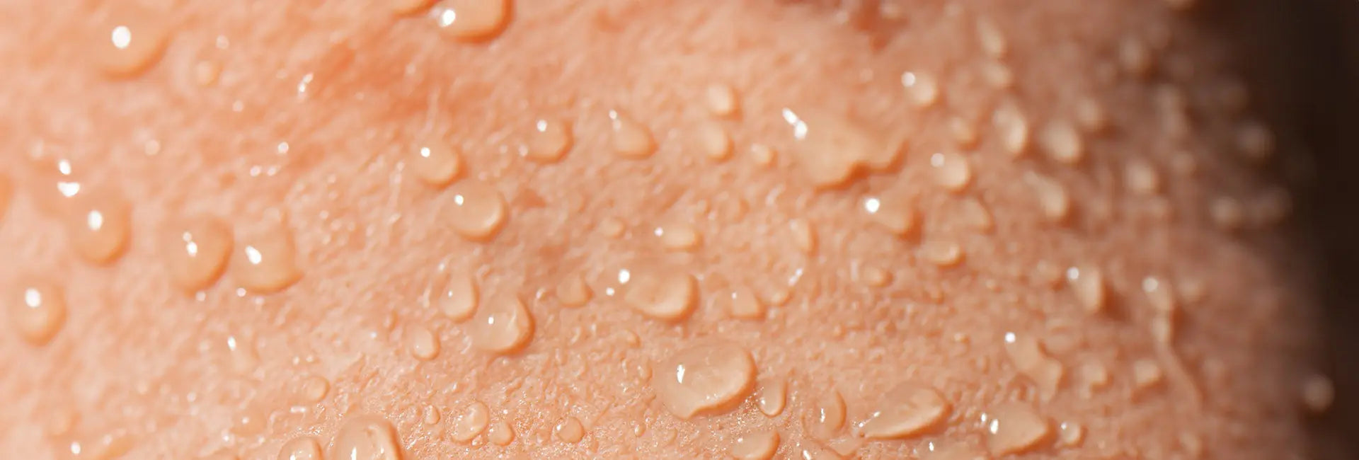 Heat-Adaptation-Training-Protocols-for-Cyclists Rule 28